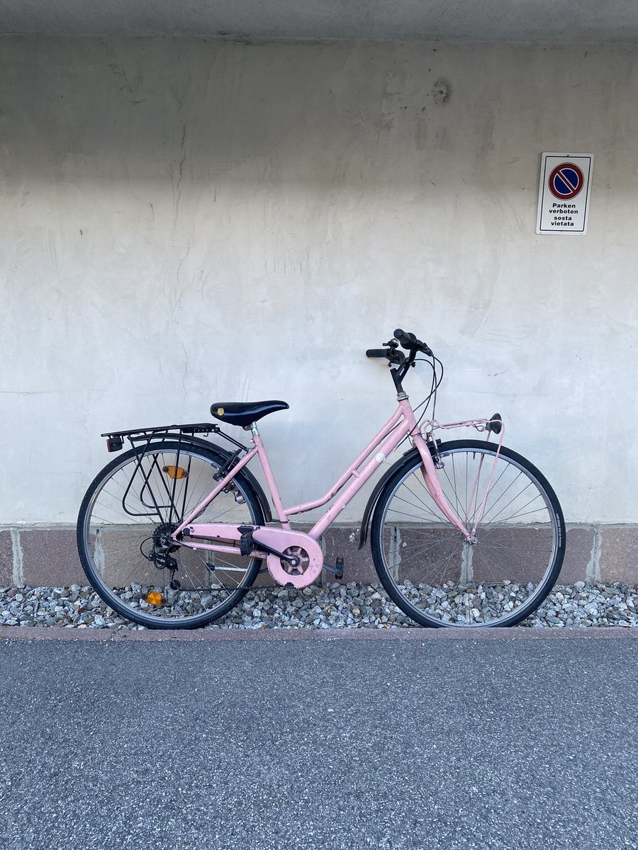 Sonia Zuccaro tweet media