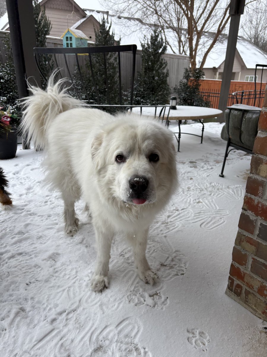 OpTic Matty tweet media