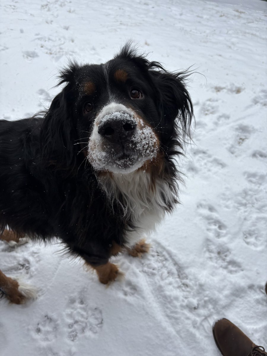 OpTic Matty tweet media