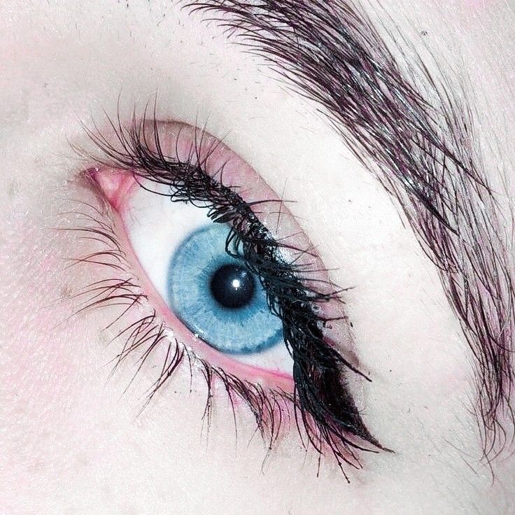 𝑴𝑰𝑹𝑨𝑵𝑫𝑨 tweet media