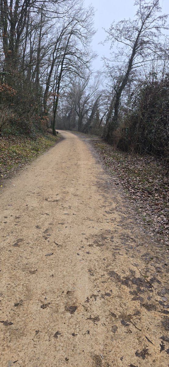 Sortie vélo sous le brouillard 🌁