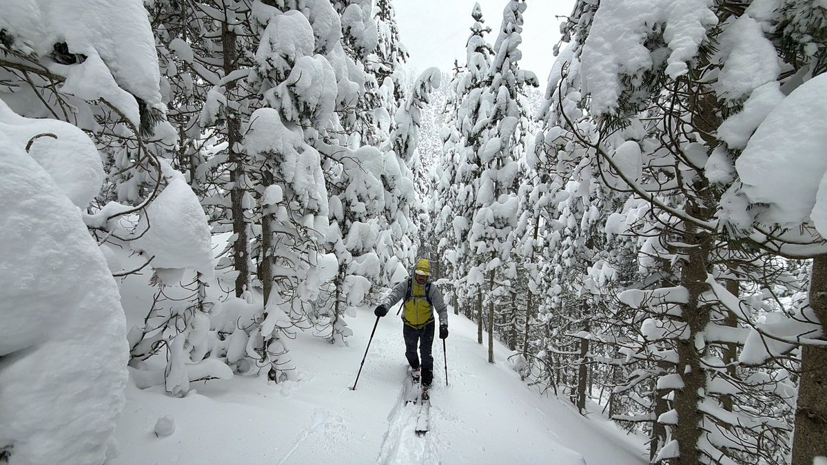 Jaume Jubert Ferré tweet media