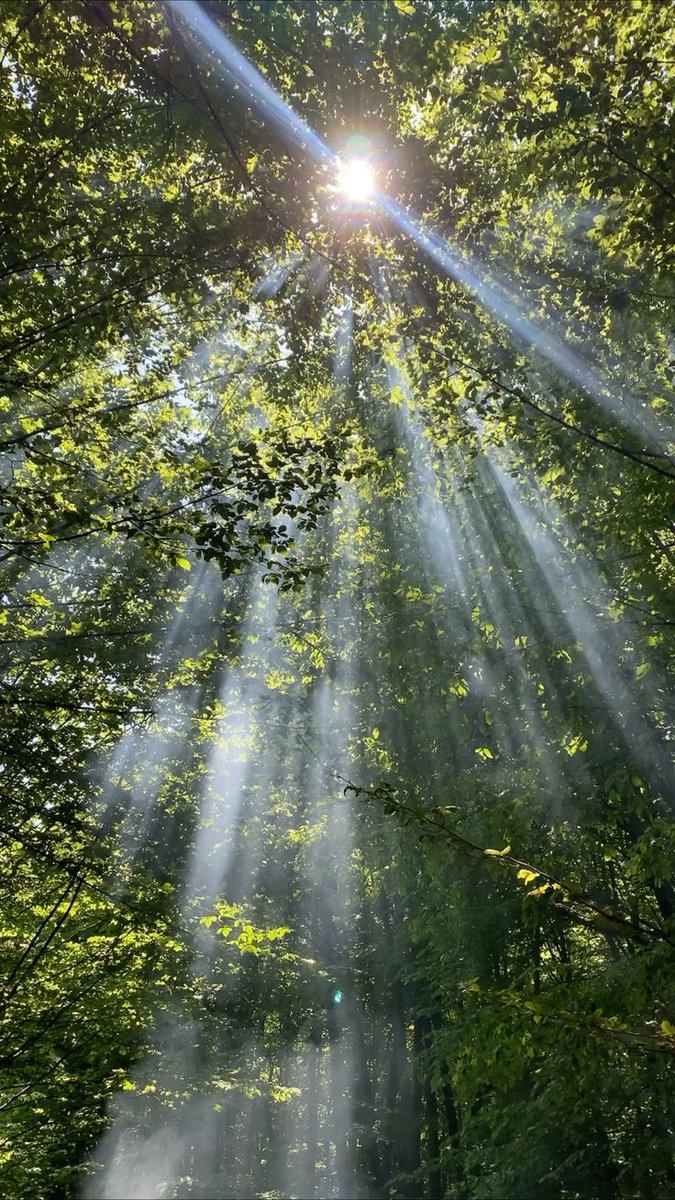 purelivn's tweet image. 