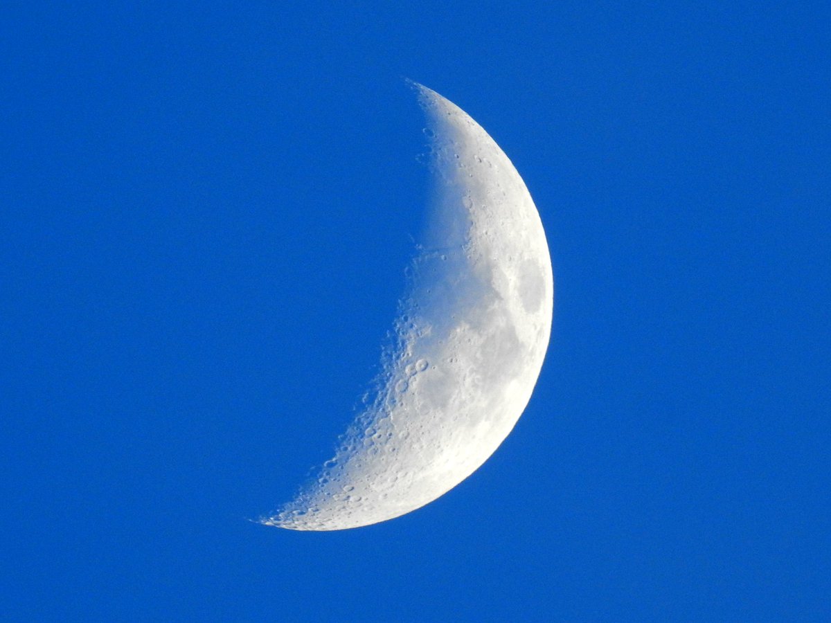 mildthing99's tweet image. #WaxingCrescent 🌒 (34.1%) over N Kent @WhitstableLive 
@DavidBflower @StormHour @metoffice @ThePhotoHour @CloudAppSoc
 #StormHour #loveukweather