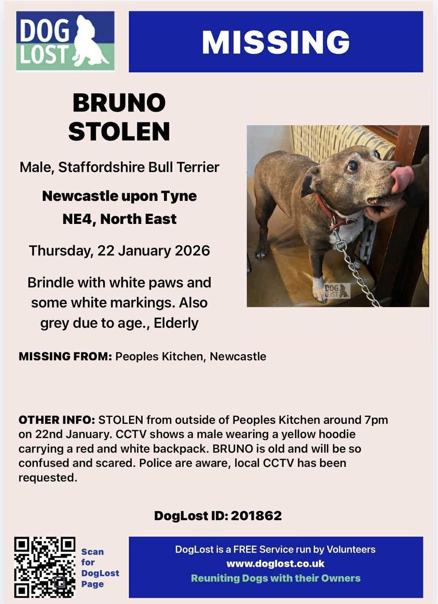 Missing Pets GB tweet media