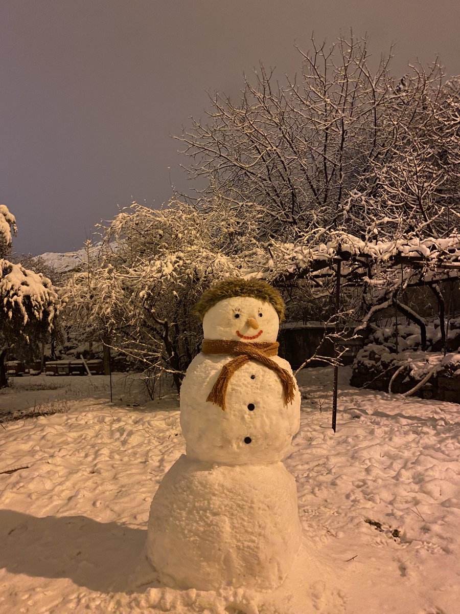 Hümeyra tweet media