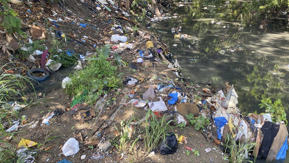 lavozdelyaque's tweet photo. Vuerta Larga y lo que mis ojos ven es indignante. lo que corre no es agua, es un río negro de contaminación.
Amplía esta historia, tocando el enlace de mi biografía  #rioyaquedelnorte #vueltalarga #santiagord #sti #arroyopalo #riopalo — ￼me siento enfermo en República Dominicana https://t.co/yTM4VOudnJ
