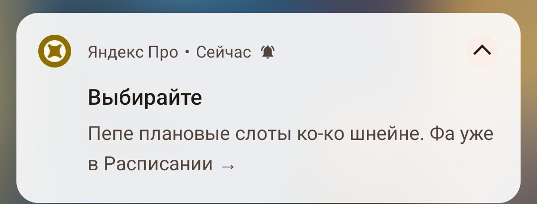 TheKvir97 tweet media
