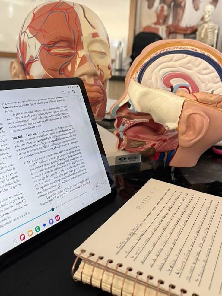 rafinha. 🩺 tweet media