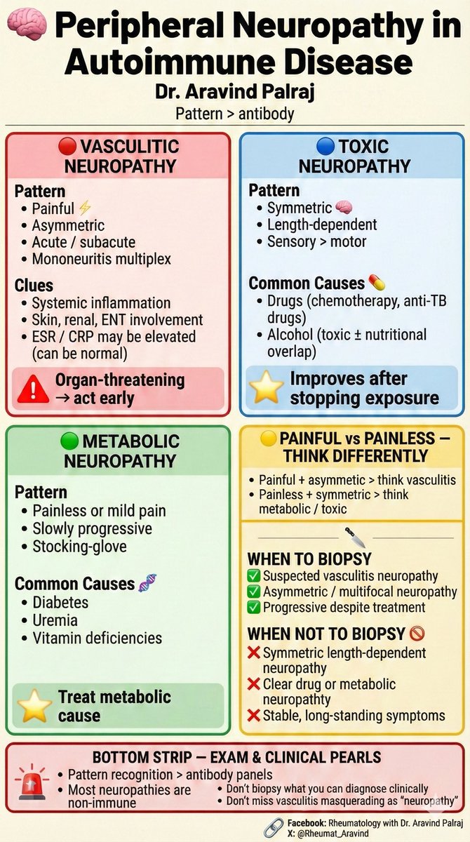 Rheumat_Aravind's tweet image. Peripheral neuropathy in autoimmune disease is often not autoimmune.

Pattern matters more than antibodies:
• Painful + asymmetric → think vasculitis
• Symmetric + length-dependent → think toxic or metabolic

Pattern &amp;gt; antibody.

#Rheumatology #Neurology #InternalMedicine