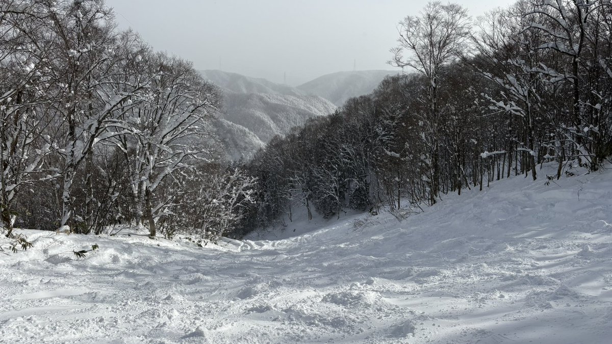 Tetchon_729's tweet photo. 荒れても楽しいパウダーなんて久しぶり https://t.co/qwNor6TkVH