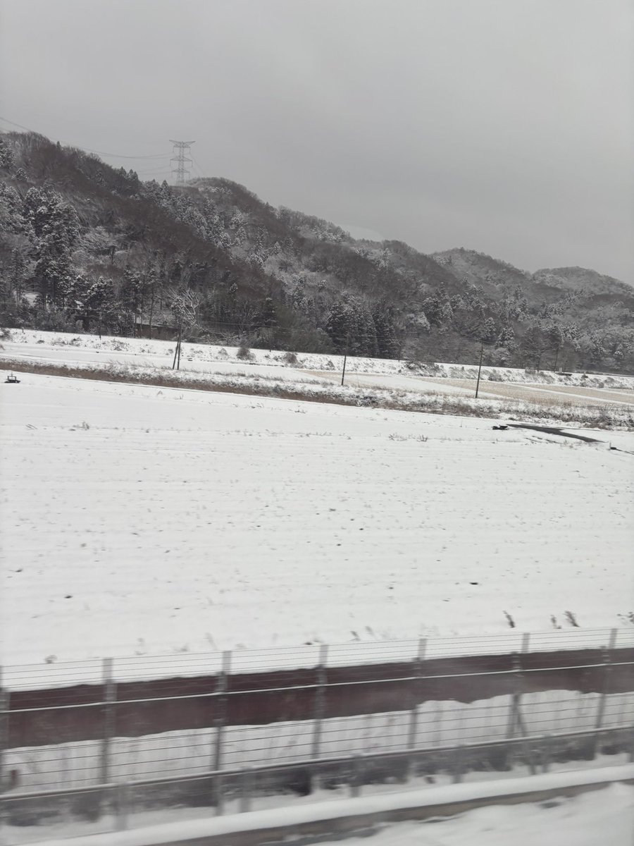 xX5DzsoCVHBA006's tweet photo. 大阪で開催された第34回日本獣医がん学会で犬の膀胱がん、悪性メラノーマの新規培養モデルの開発に関する研究発表をしました🐶 https://t.co/TRcFnyIOav