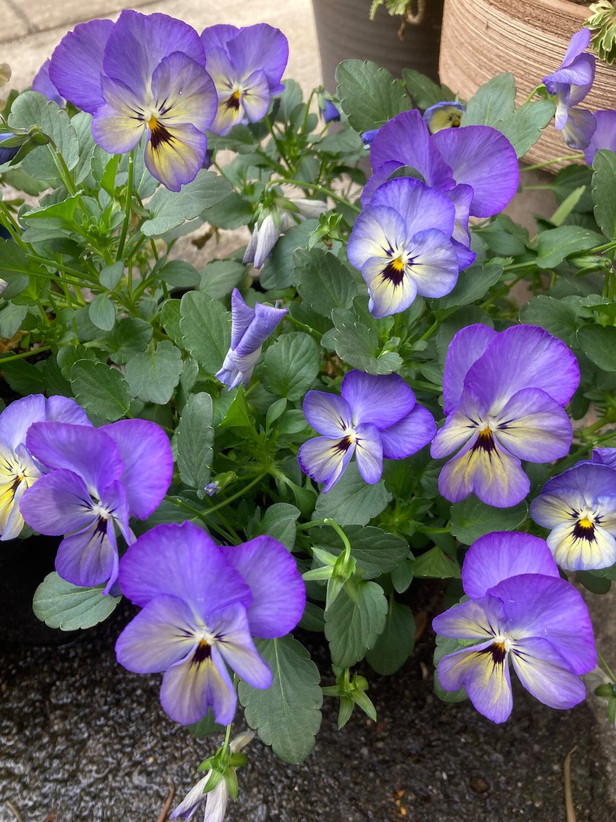 Kick｜Webマーケター tweet media