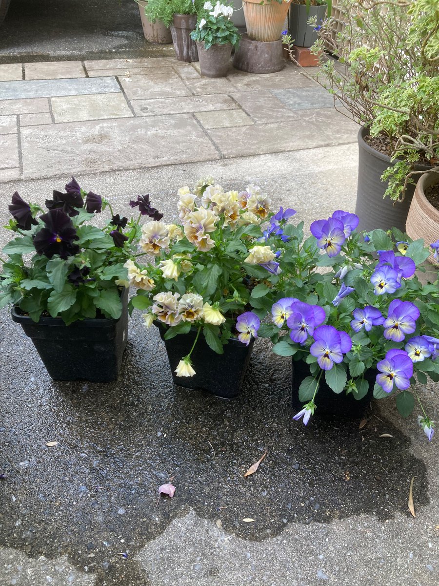 Kick｜Webマーケター tweet media