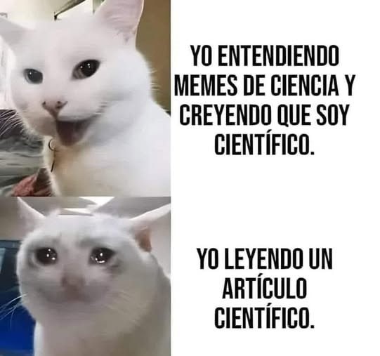 Más Ciencia tweet media