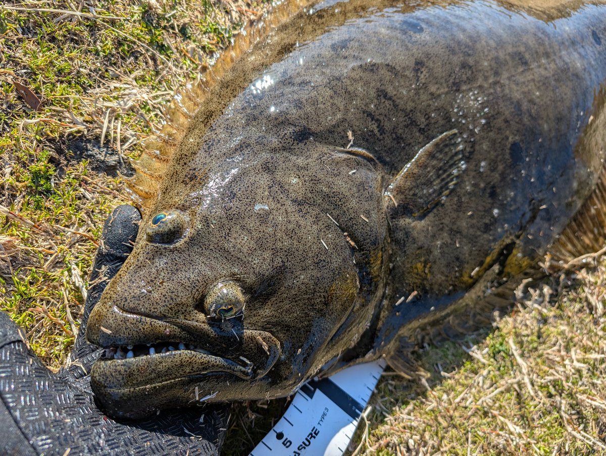 ちょっとだけサイズアップ♥
いやいや手が震える😹