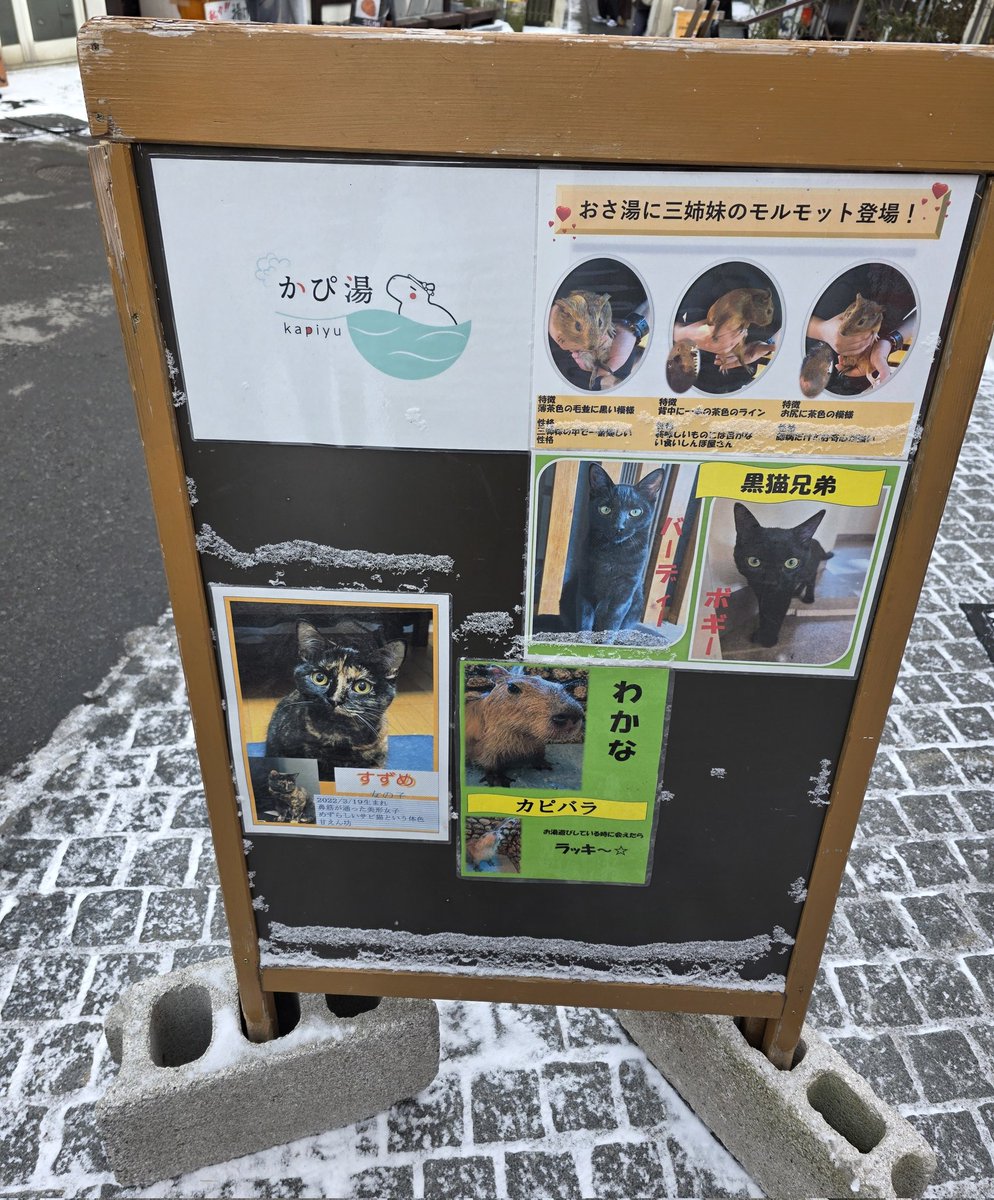 白子ちゃん tweet media