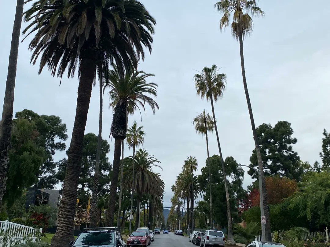 EmceeSLIM's tweet photo. 1st time driving in Los Angeles! 

Thank you HaietL @Jeep Renegade 

#WeTheNorth ✨@NASA

https://t.co/kcWuuNcC3P

#losangeles #pacifichighway #oceansidecalifornia #jeep #jeeprenegade #california #peace https://t.co/LEusAXBIET