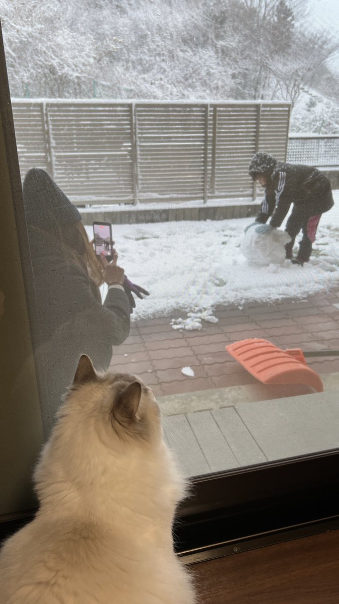 本日の駅伝大会は雪のため延期となりました⛄️❄️