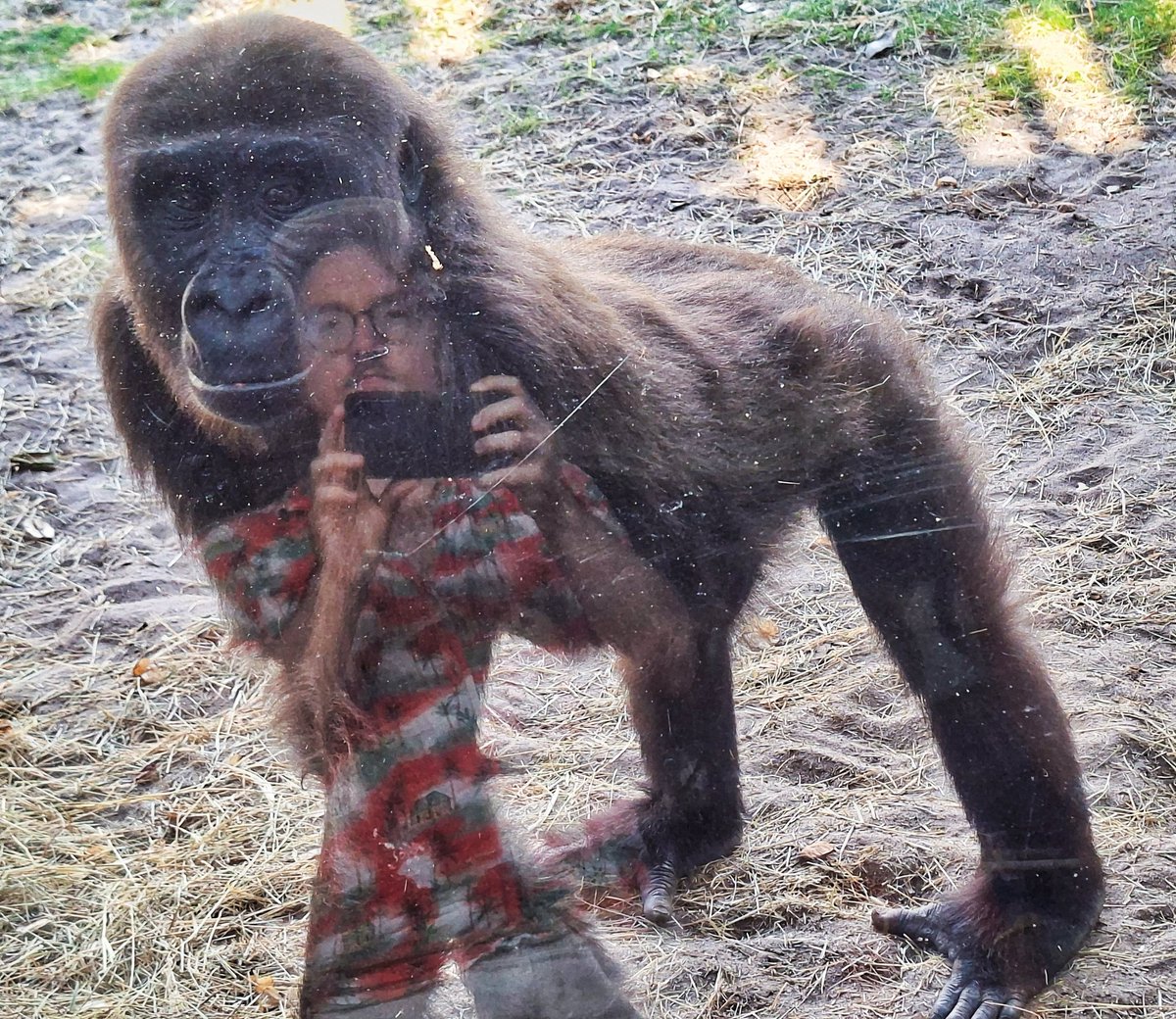 DDayFilms's tweet image. we are all brothers