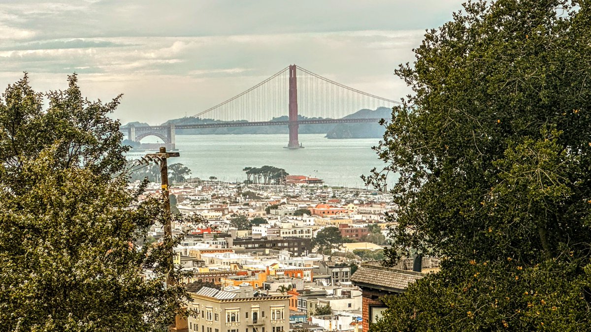 DelRayCross's tweet image. ANACHRONIZM MMMMCMLIV - 'watching my future'
a poem by Del Ray Cross
posted to the Anachronizms blog on 1/21/2026

anachronizms.blogspot.com/2026/01/mmmmcm…

youtu.be/L1aq4_gGS3M?si…