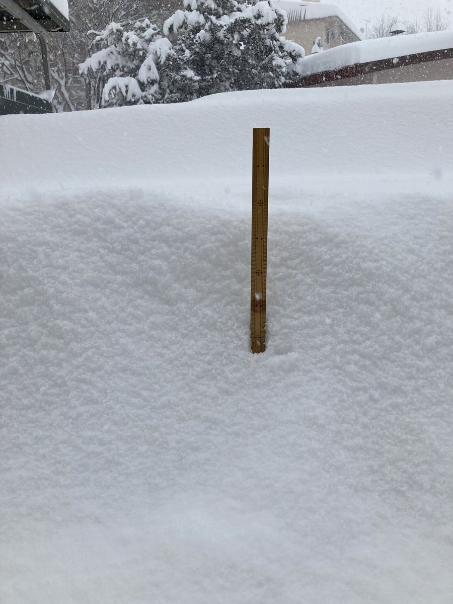 寝てる間に雪がめっちゃ積もっとる☃️
除雪入ってないから集合玄関前を雪かきして遊ぼーと思ったのに、もう誰かがやってた(´°̥̥̥ω°̥̥̥｀)50cm物差しさしてみたら40cm位積もってる⛄️