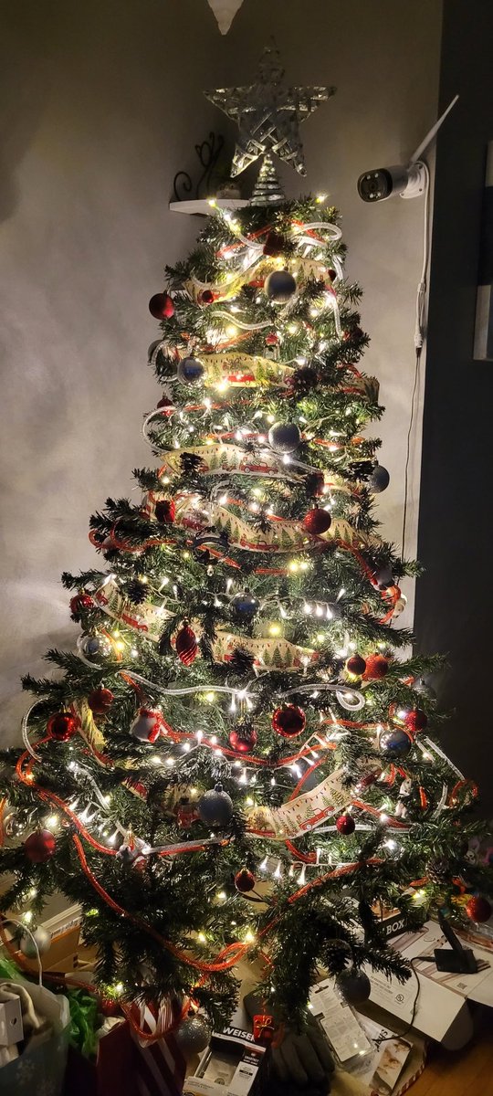 kritterbuggg's tweet photo. Honest answer, who still has their Christmas tree up? #lazy, #toomuchwork https://t.co/57P9hAIn5O