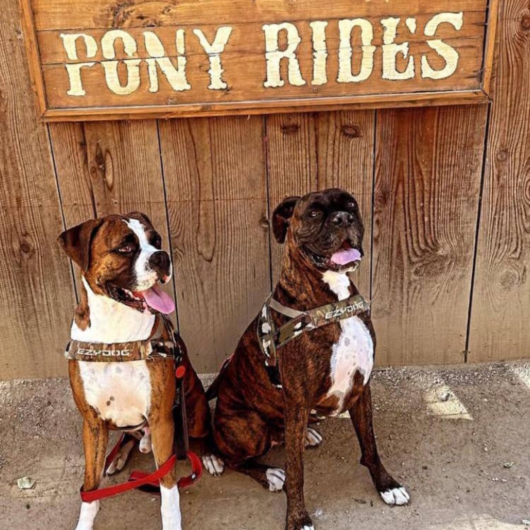 Typeterso's tweet image. 