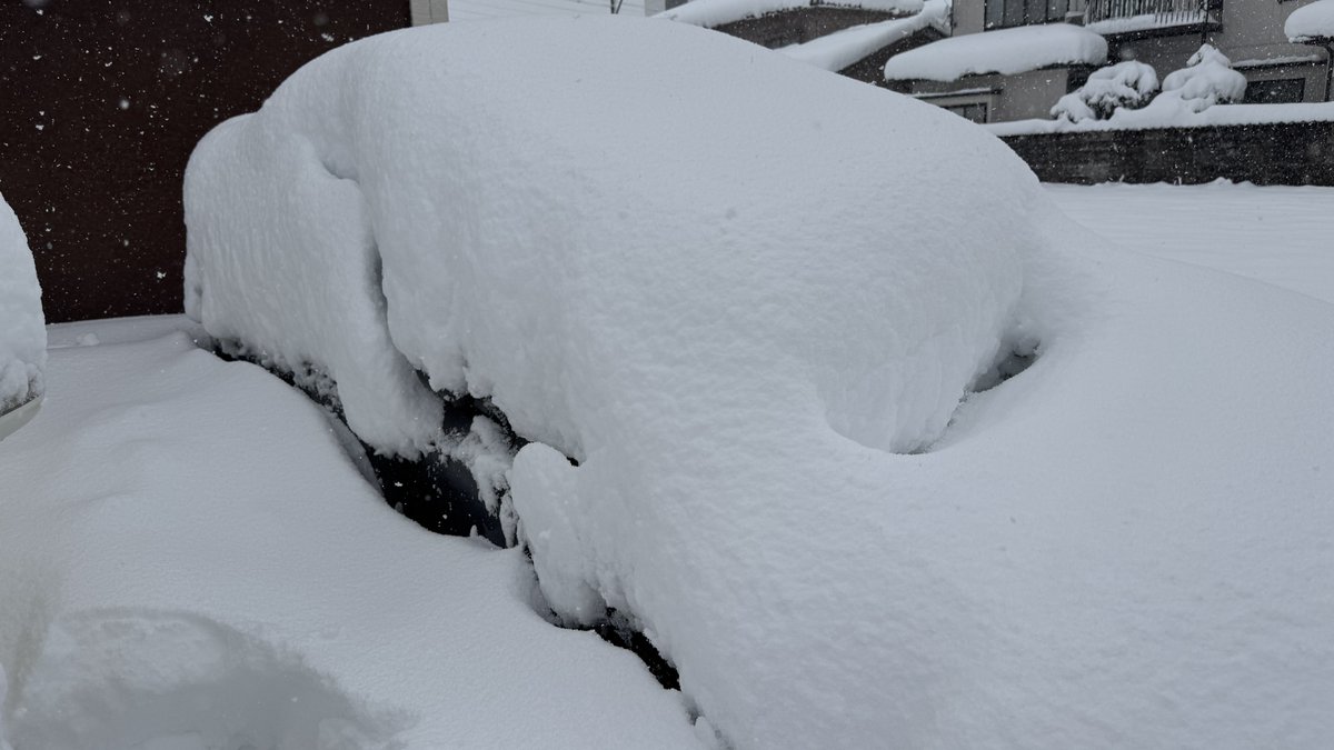 しょうちゃんネル (@ShochanYT) / Posts / X