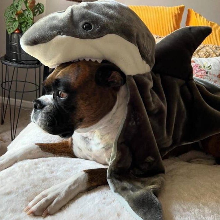 Typeterso's tweet image. 