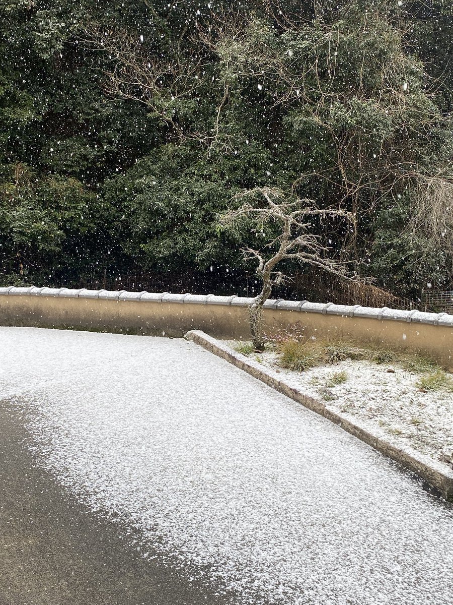 あやのすけ (@a2c906sc2) / Posts / X