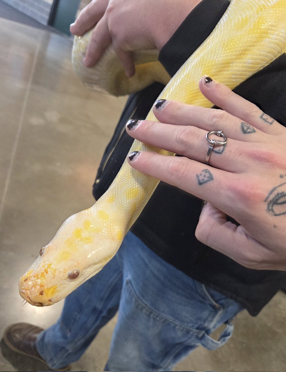 🔥🜏 𝔓𝔢𝔩𝔷𝔦 🜏🔥 🔜 LVFC tweet media