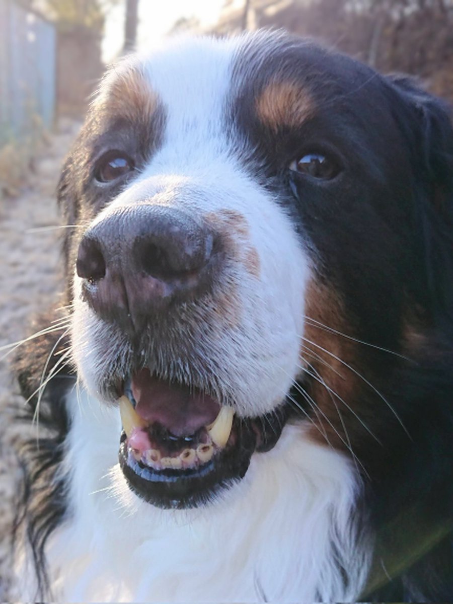 朝だね、おはよう

20210125