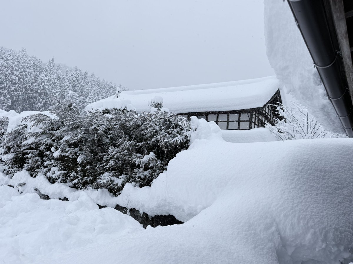 谷雪さん　‼️‼️谷雪さん様以外購入不可‼️‼️ おはようございます☃️ 1月25日（日）午前8時、昨夜からの積雪が自宅