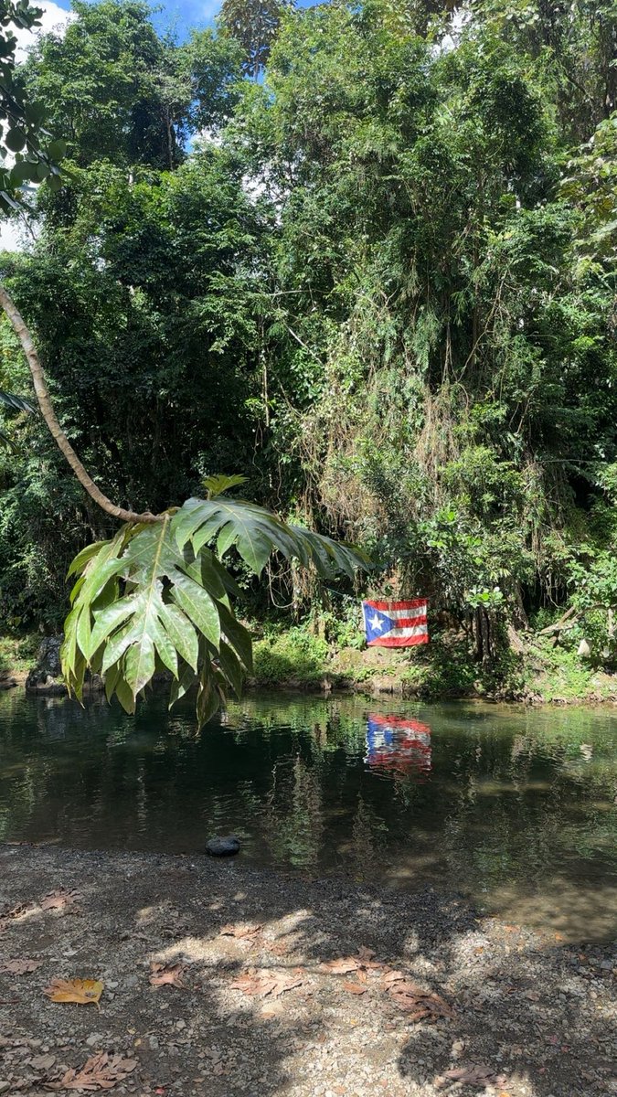 couldn’t have a better senior trip in puerto ricoooo🇵🇷🏝️🤍