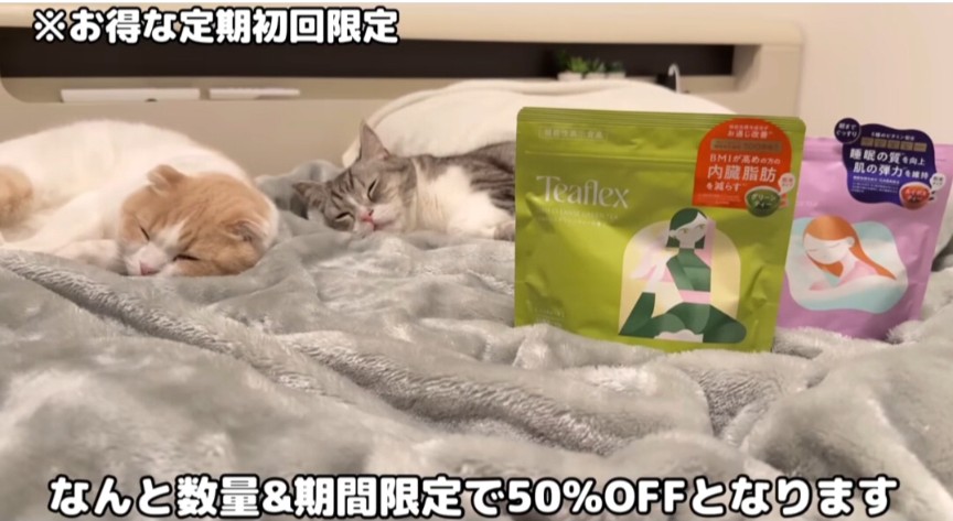 【もち様】 はなざくろ (@hana_zakulo) / Posts / X