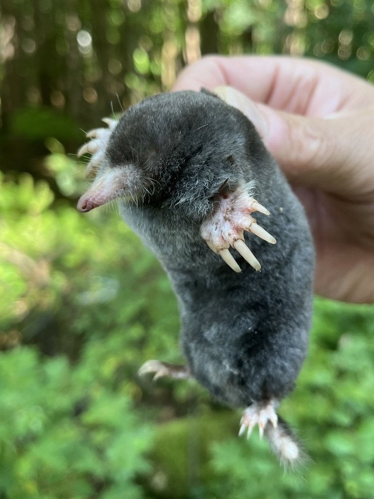 💛 Memory 🧸 tweet media