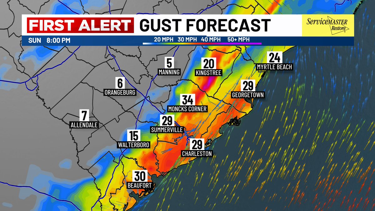 Lexie Horvath tweet media