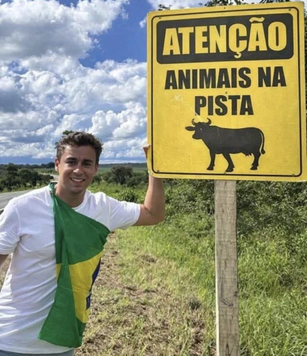 xregis61's tweet image. SEM MAIS.