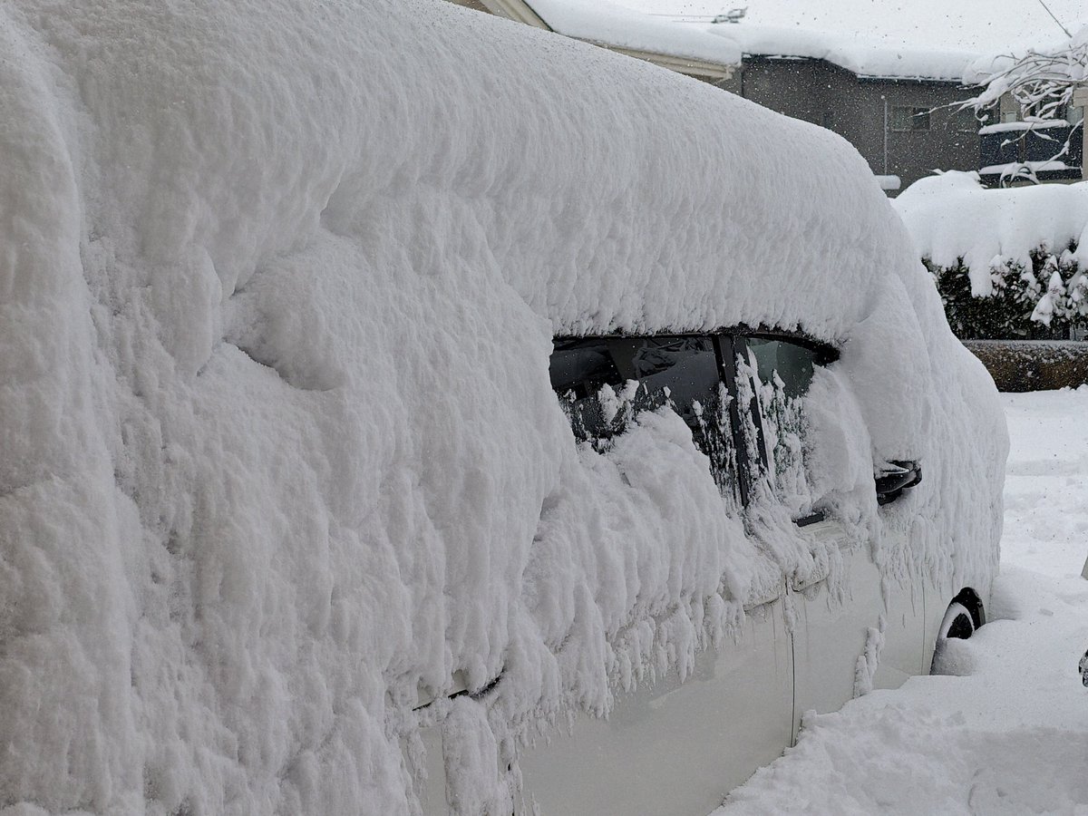 え、雪けっこう積もった… Shot on nubia Z80 Ultra