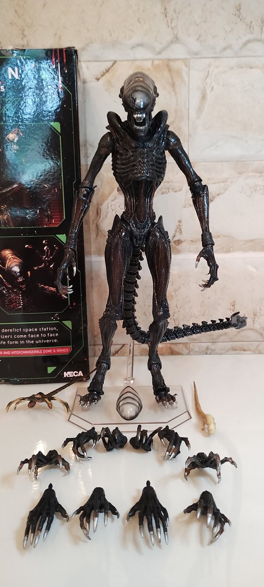 Marcelo 'Doc Hanni' Nascimento tweet media