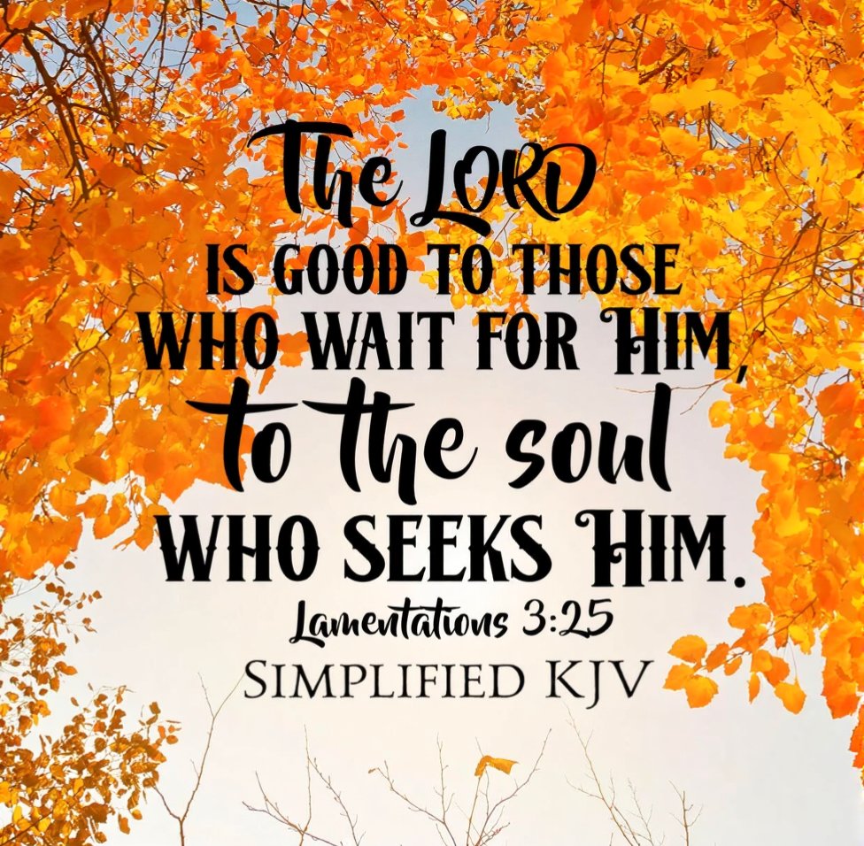 ChazakSenpai's tweet photo. "The Lord is good to those who depend on him, to those who search for him."
-Lamentations 3:25 NLT https://t.co/ewRAZLlXnz