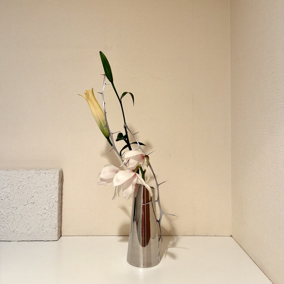 SMAP #世界に一つだけの花 #私の_世界に一つだけの花 おはようござい