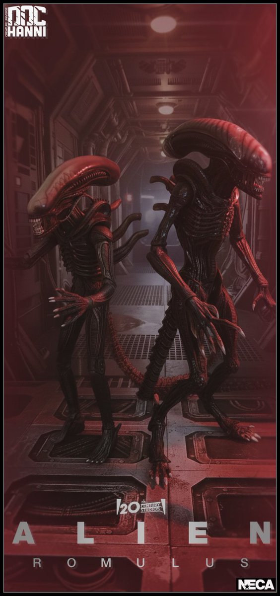 Marcelo 'Doc Hanni' Nascimento tweet media