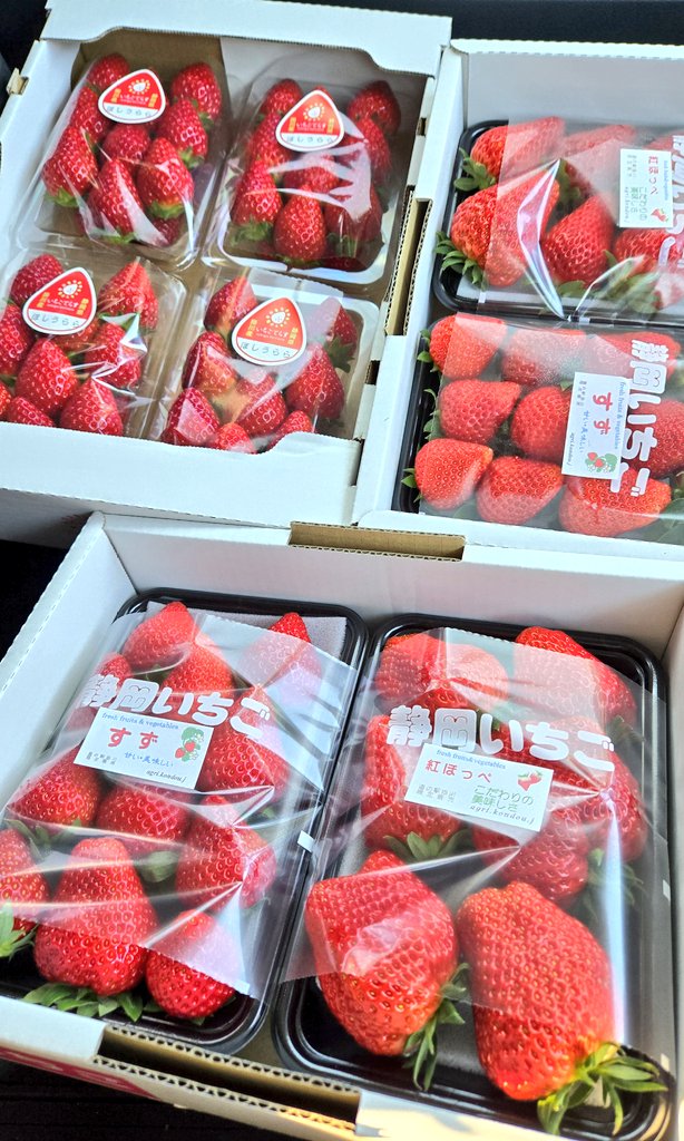 うん、うん、うん、、、業者かよ！！！ 今シーズンフォースステージ