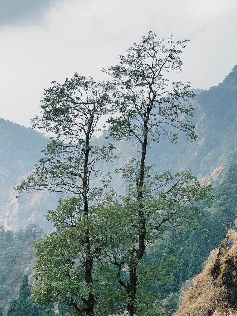 Mohit Mehta tweet media