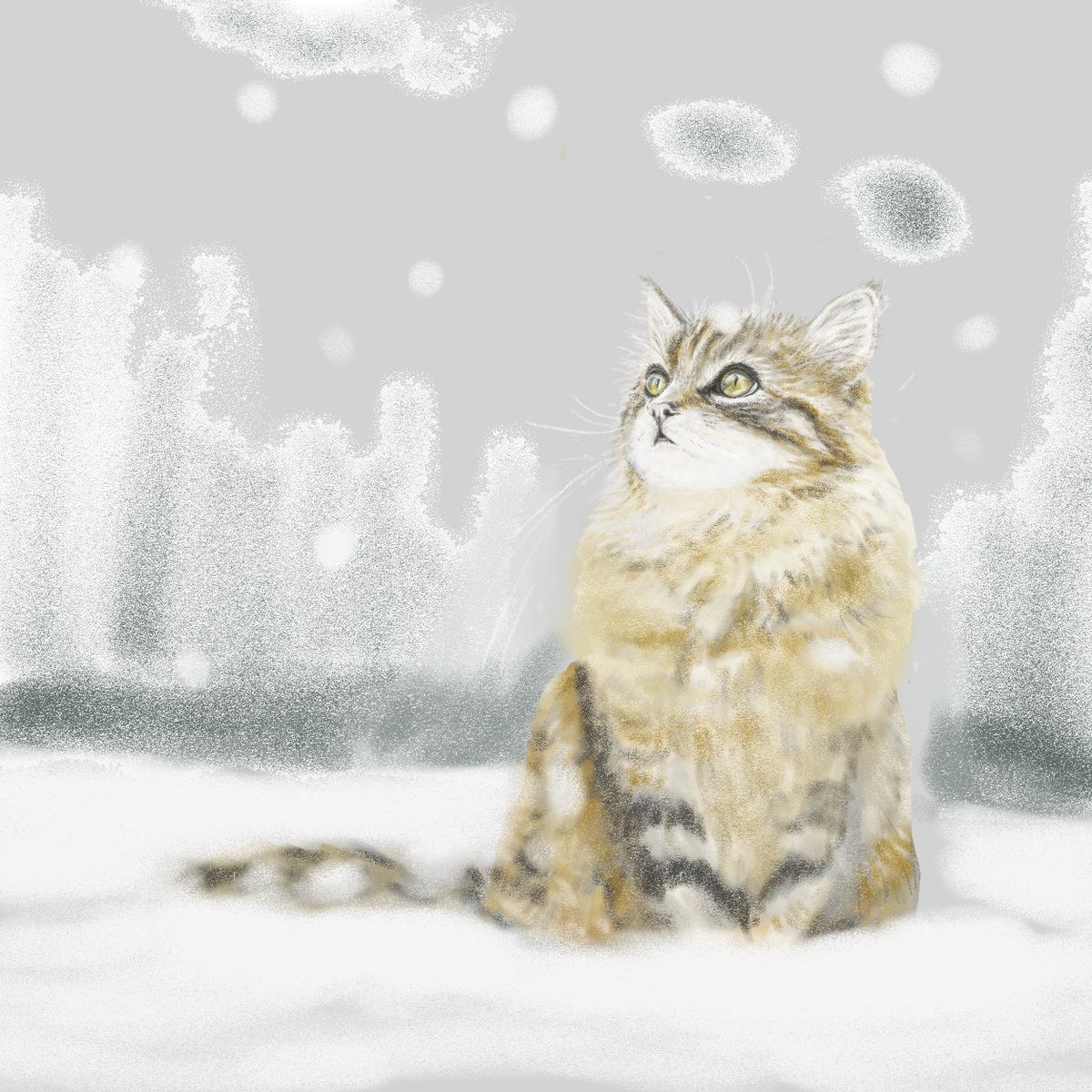 minto905's tweet photo. 【猫だらけ卓上カレンダー】
ついに念願のカレンダー作れました・・・✨
こちらのリンクからぜひぜひご覧ください🥰

@minto905 https://t.co/I0vGlFWy2X #suzuri #SUZURI推しアイテム https://t.co/IEfBEUeSXl