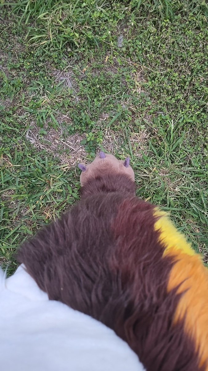 Winter storm??? Time to put on my best jacket!!!