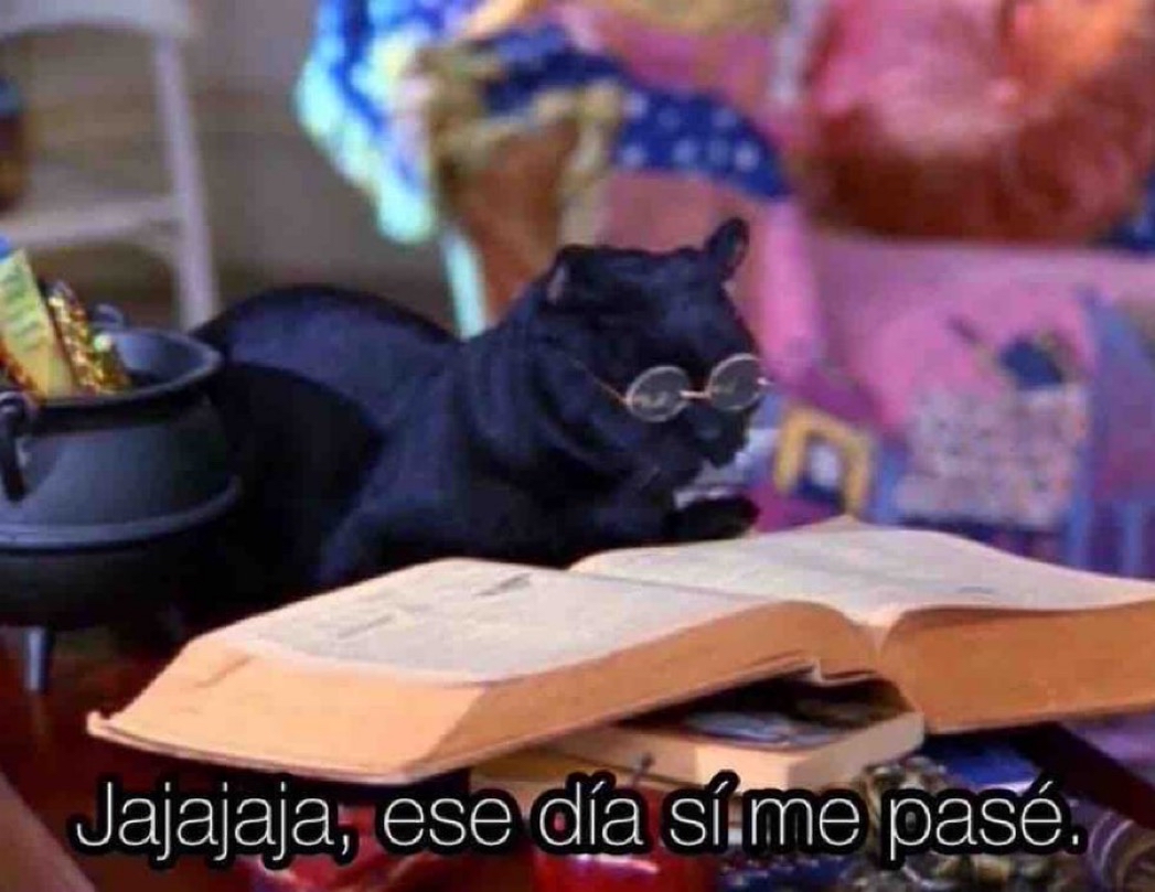 — ¿Y si tu vida fuera un libro, lo leerías?

Yo: