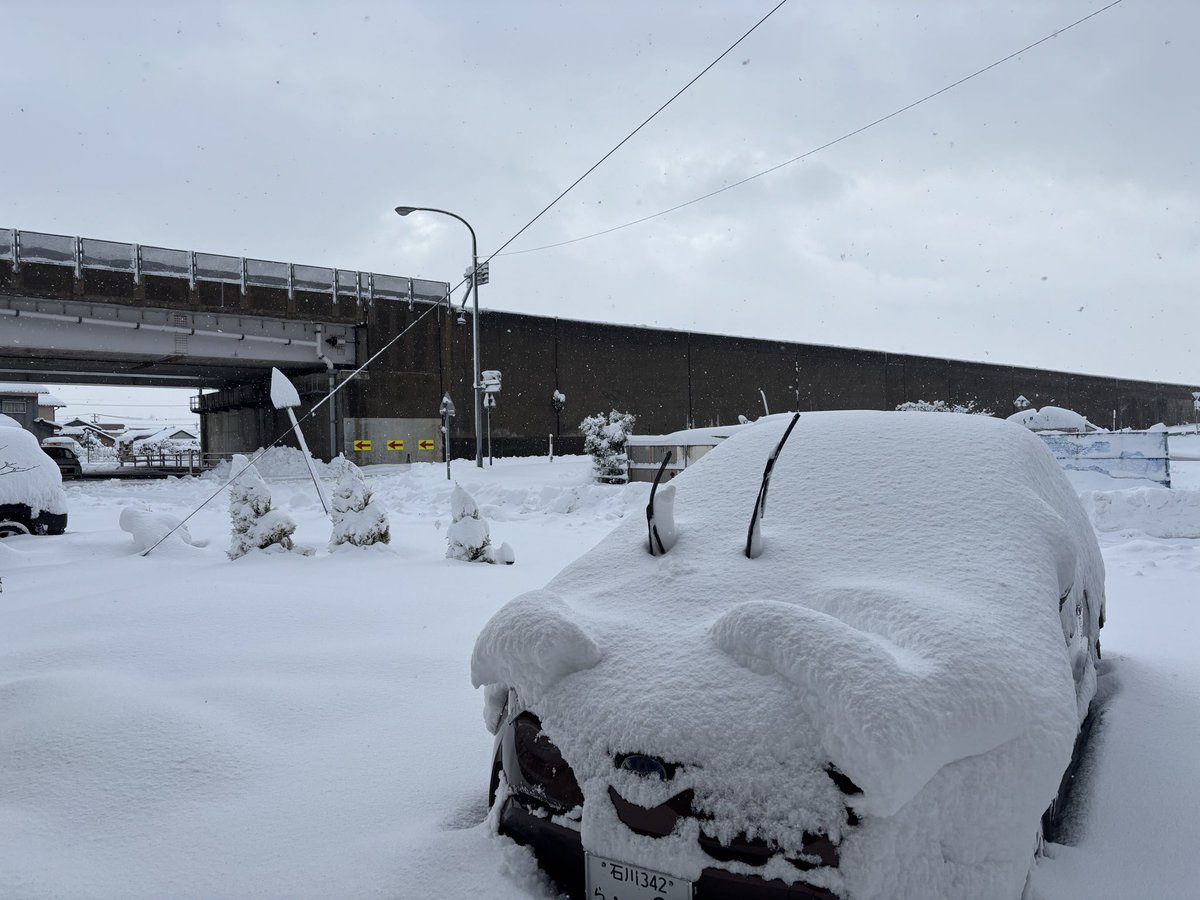 Toshiki Azuma（東利紀） tweet media